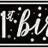 9ft Glitz Black & Silver 21st Birthday Banner