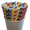 Assorted Colour Striped Paper Straws, Pack of 40