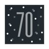 Glitz Black & Silver 70th Birthday Napkins, Pack of 16