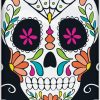 Plastic Skull Day of the Dead Halloween Tablecloth, 7ft x 4.5ft