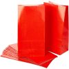 Ruby Red Paper Party Bags, Pack of 12
