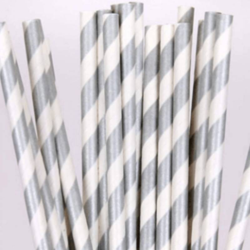 Silver Paper Straws 19cm
