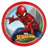 Spiderman Crime Fighter Plates