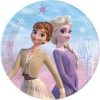 Disney Frozen Plates