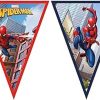 9 Triangular Marvel Spider Man Flag
