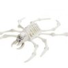 Crab Skeleton Halloween Plastic Prop Decoration 20cm