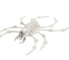 Crab Skeleton Halloween Plastic Prop Decoration 20cm