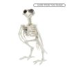 Crow Skeleton Halloween Plastic Prop Decoration 19cm