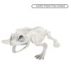 Frog Skeleton Halloween Plastic Prop Decoration 18cm