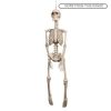 Halloween Prop Skeleton Hanging Decoration 92cm