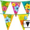 Giant Bunting Hibiscus