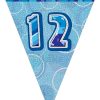 12th Blue Glitz Bunting