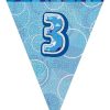 3rd Blue Glitz Bunting