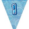 1st Blue Glitz Bunting