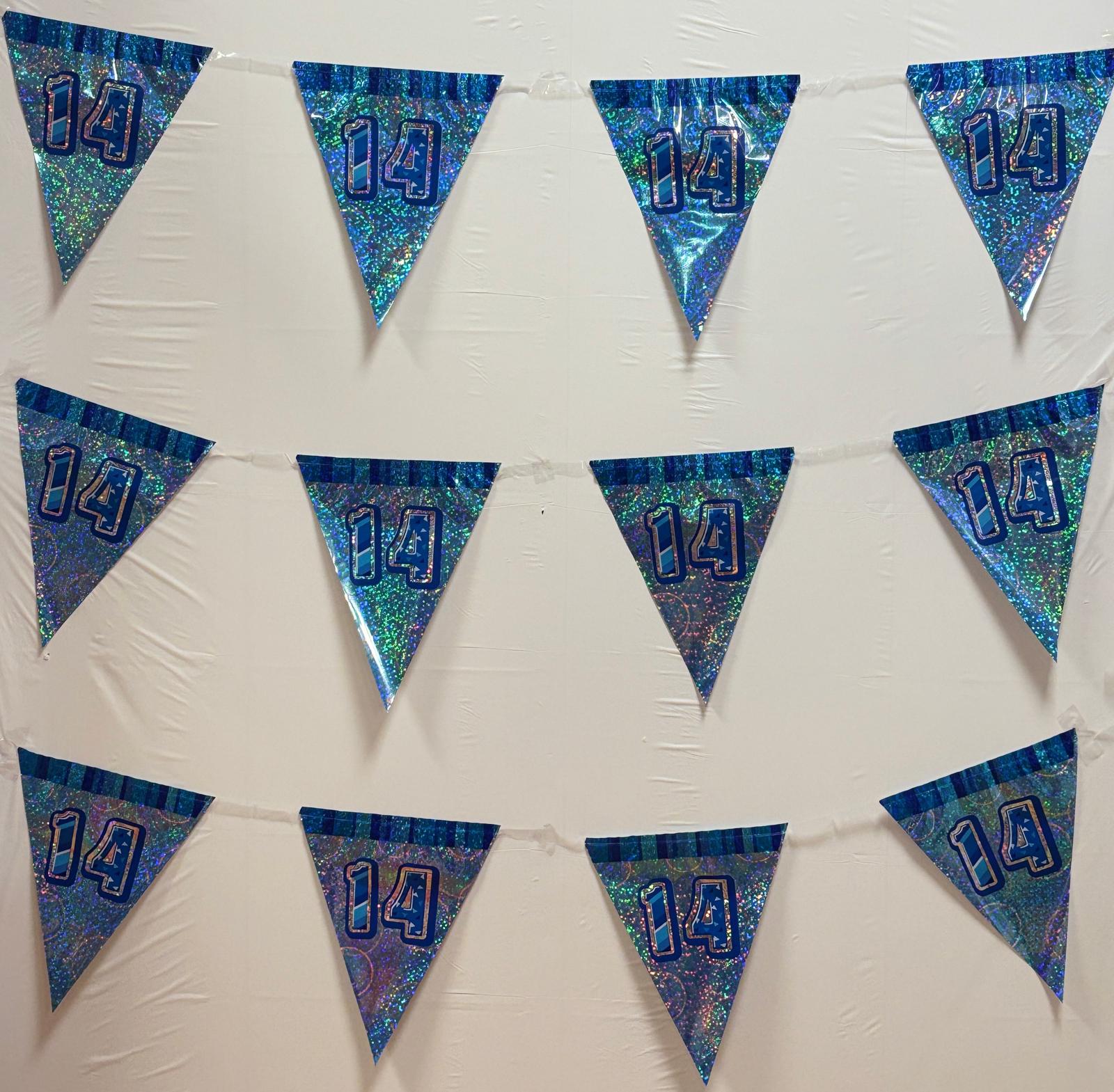 14th Blue Glitz Bunting - Image 2