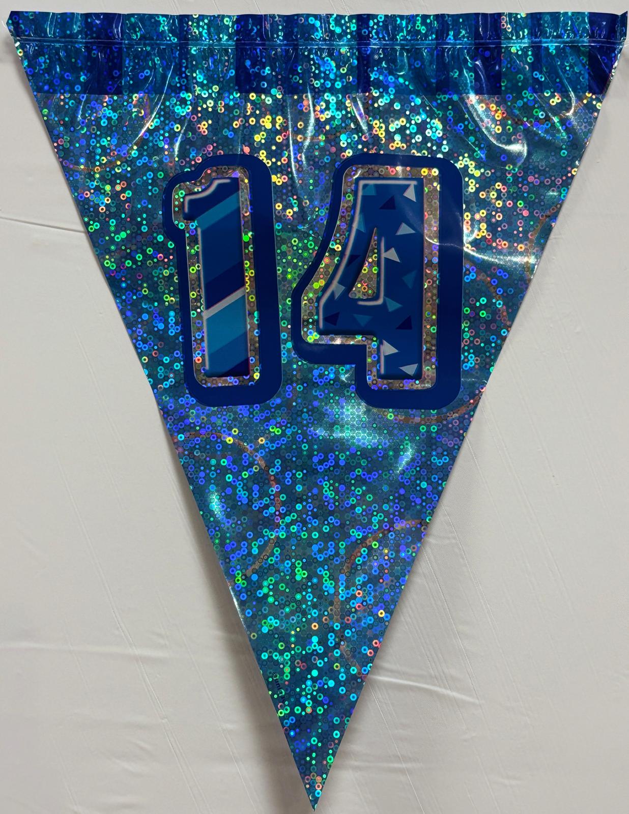 14th Blue Glitz Bunting - Image 3