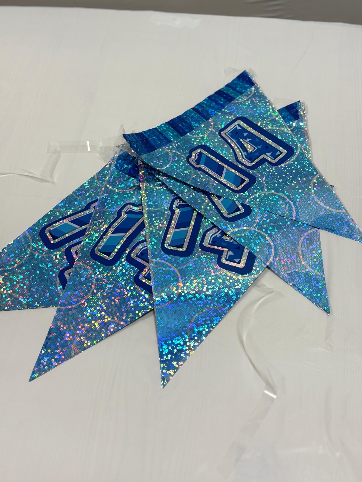 14th Blue Glitz Bunting - Image 4