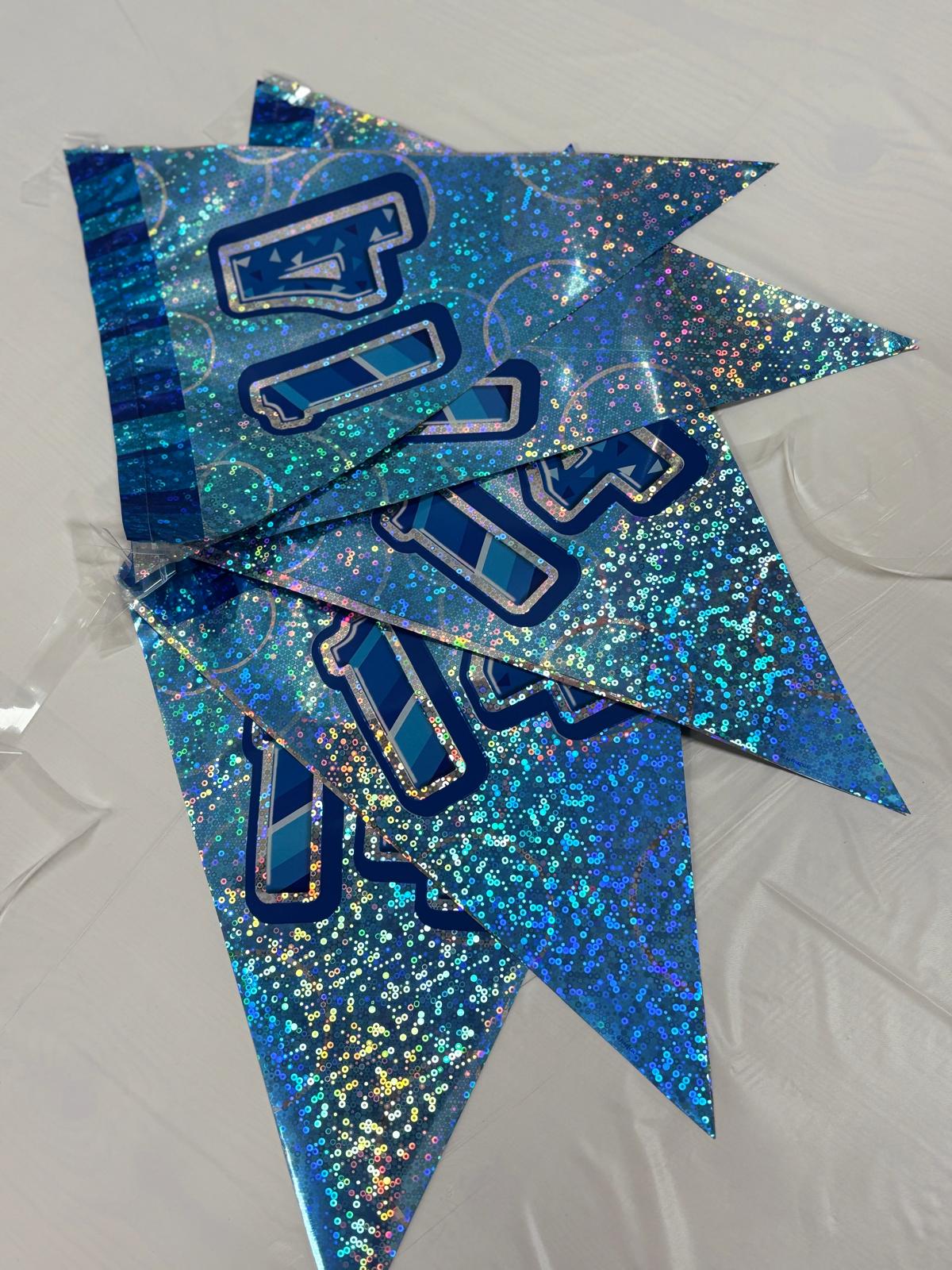 14th Blue Glitz Bunting - Image 5