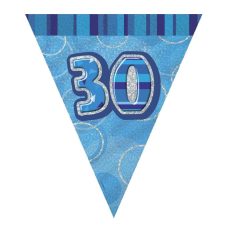 30th Blue Glitz Bunting