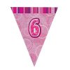 6th Pink Glitz Bunting