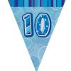 10th Blue Glitz Bunting