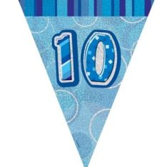 10th Blue Glitz Bunting