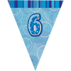 6th Blue Glitz Bunting