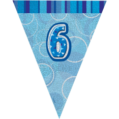 6th Blue Glitz Bunting