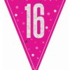 Pink Glitz Age 16 Flag Banner Bunting