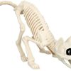 Skeleton Cat Halloween Decor or Spooky Graveyard Ground Decoration