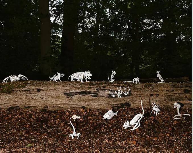 Skeleton Cat Halloween Decor or Spooky Graveyard Ground Decoration - Image 2