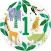 Animal Safari Round Paper Plates 22cm - Pack of 8