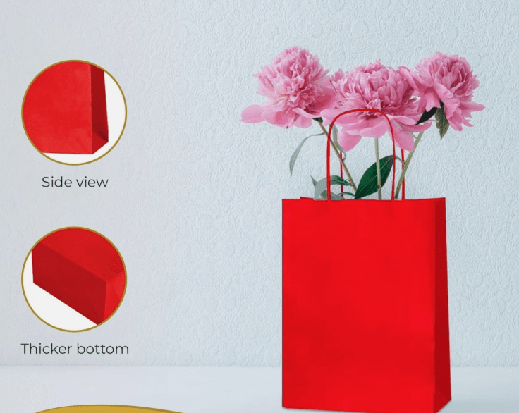 Red Paper Party Bags with Colored Handles, Pack of 6