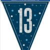 13th Blue Glitz Bunting