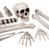 Set of 12 Skull and Bones