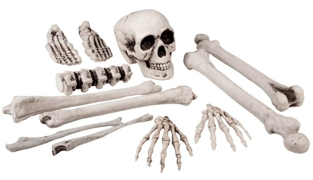 Set of 12 Skull and Bones