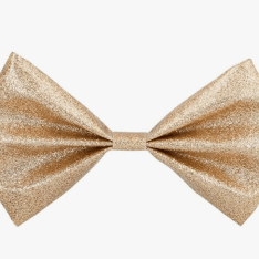 Glitter Bow Tie