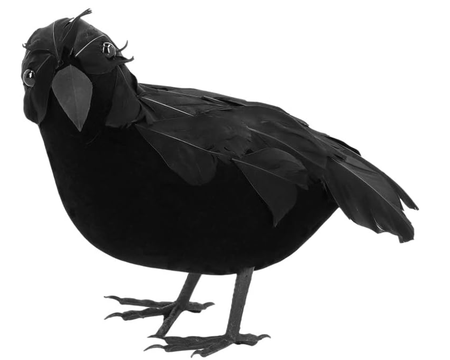 Black Crow