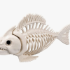 Fish Skeleton