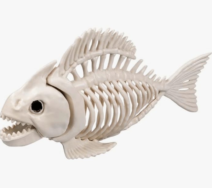 Fish Skeleton - Image 2