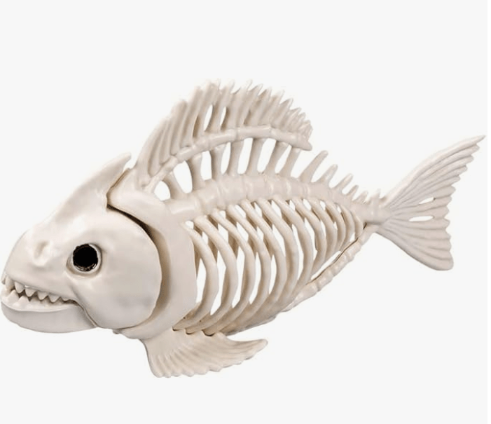 Fish Skeleton
