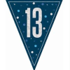 13th Blue Glitz Bunting