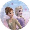 Frozen Paper Plates 8 Pieces