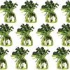24 x Lime Green Helium Latex Balloon Weight with Ribbon Roll