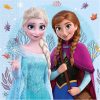 Disney Frozen Napkins, 33 x 33 cm, 2-Ply, Pack of 20