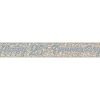 Happy 25th Anniversary Holographic Foil Banner