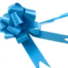 Turquoise Blue Pull Bow