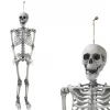 HAUNTED HOUSE HANGING SKELETON 160CM
